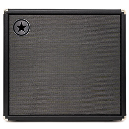 front view of Unity Elite 115C cabinet bass amp