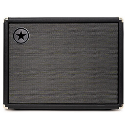front view of Unity Elite 210C cabinet bass amp