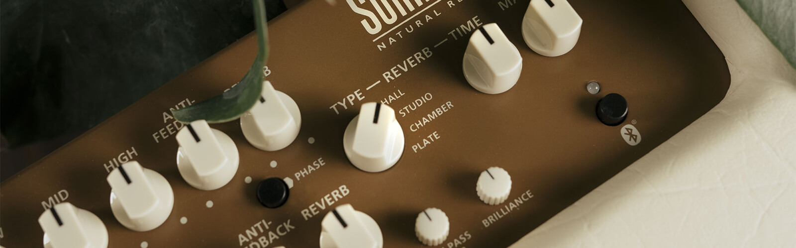 Sonnet 120 Blonde guitar amp close up of controls