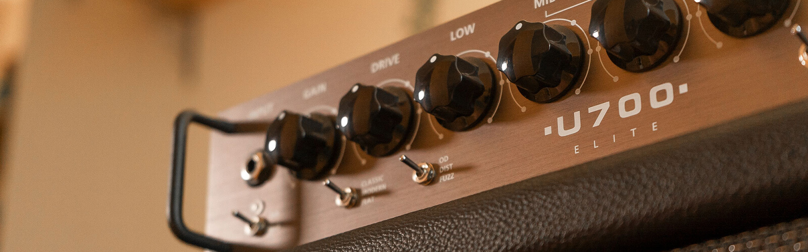 angled closeup view of a control panel on Unity Elite 700H guitar amp